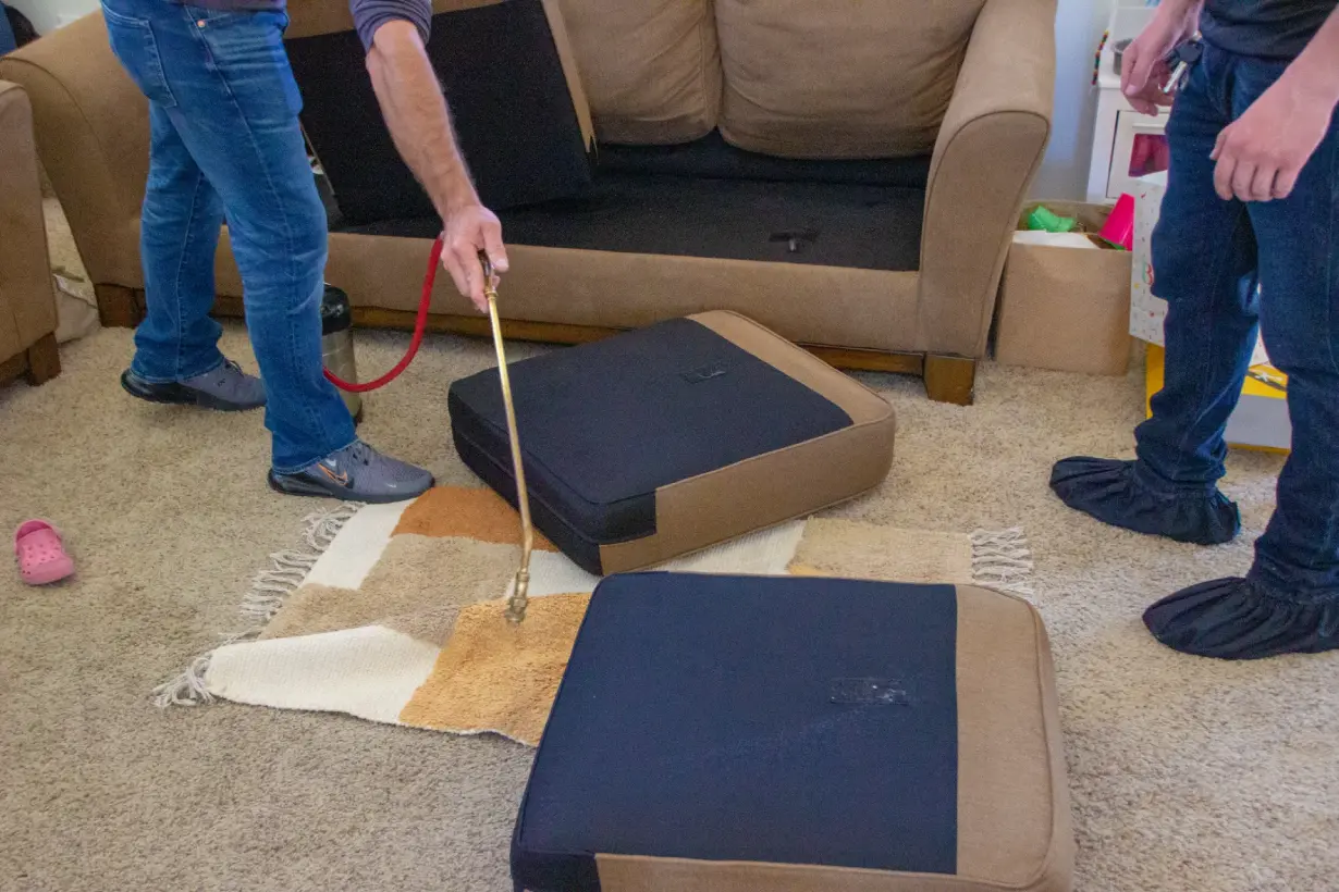 Bed Bug Control Marriott-Slaterville, UT