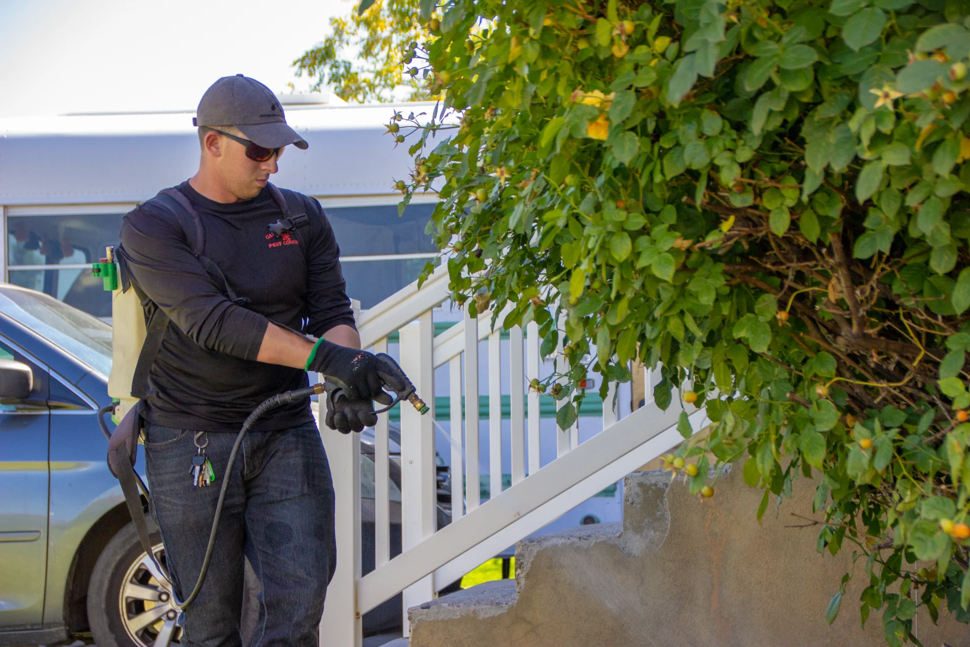 Cedar Hills Pest Control