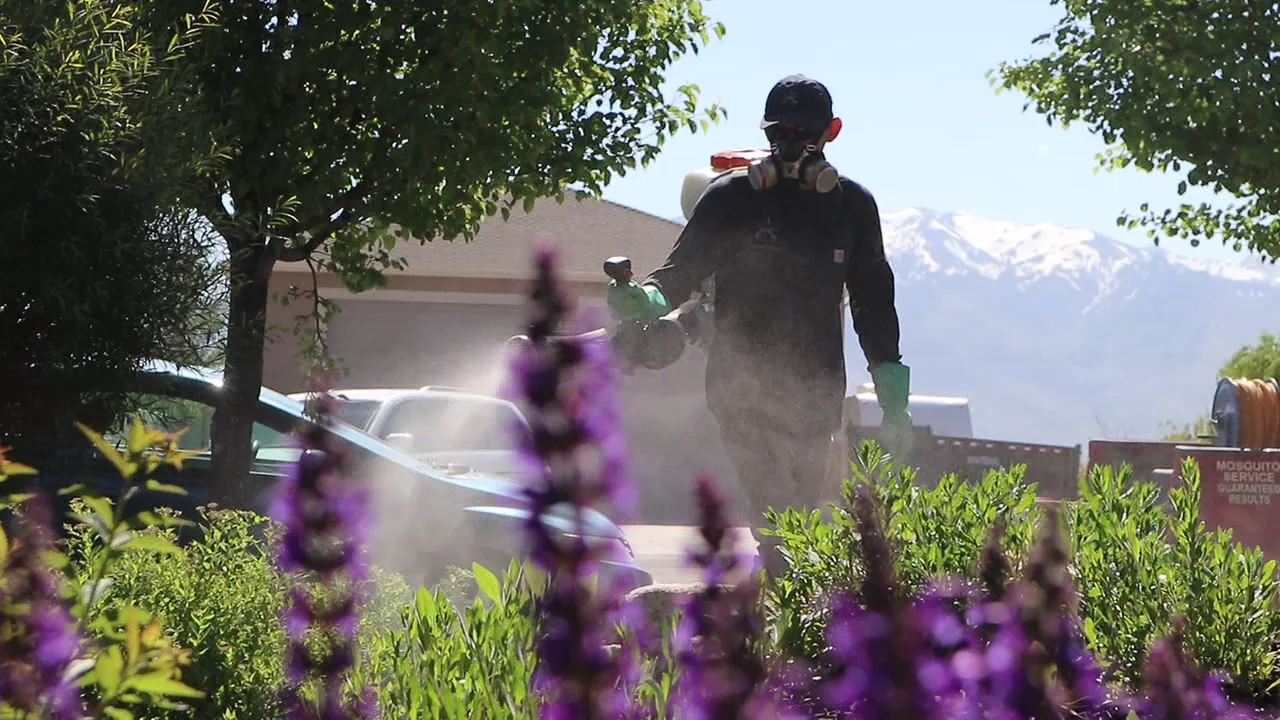 Lawn Pest Control Marriott-Slaterville, UT