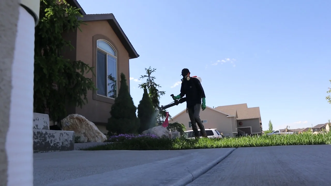 Mosquito Control Marriott-Slaterville, UT