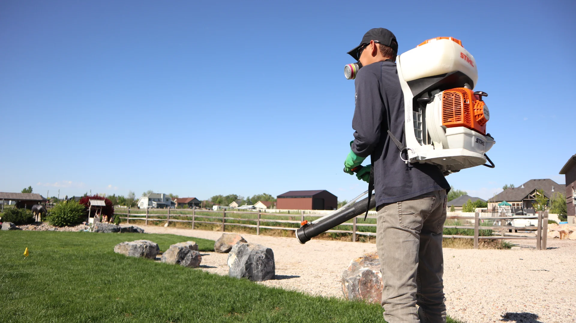 Pest Control Providence