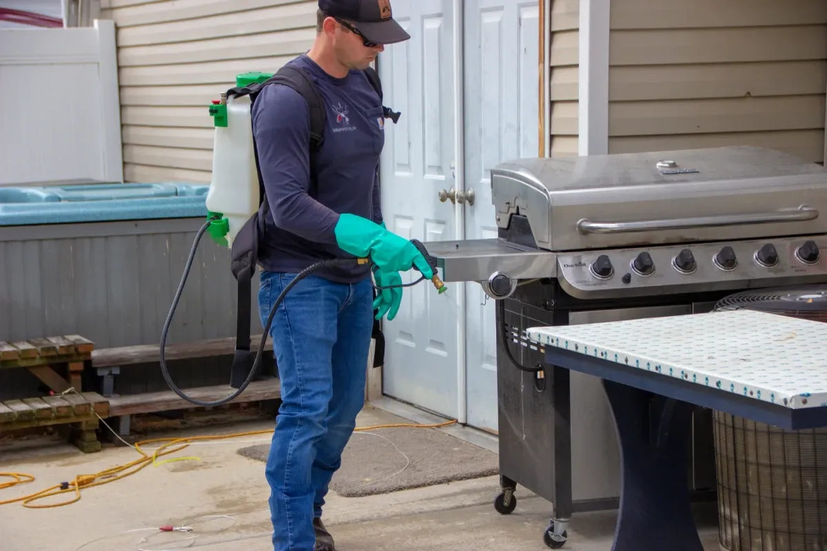 Pest Control in Mapleton