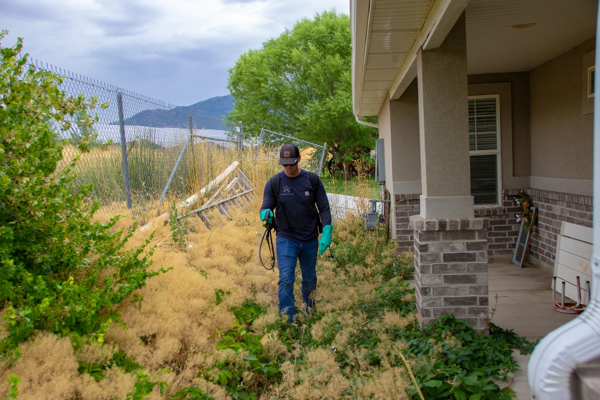 Pest Control in Ogden
