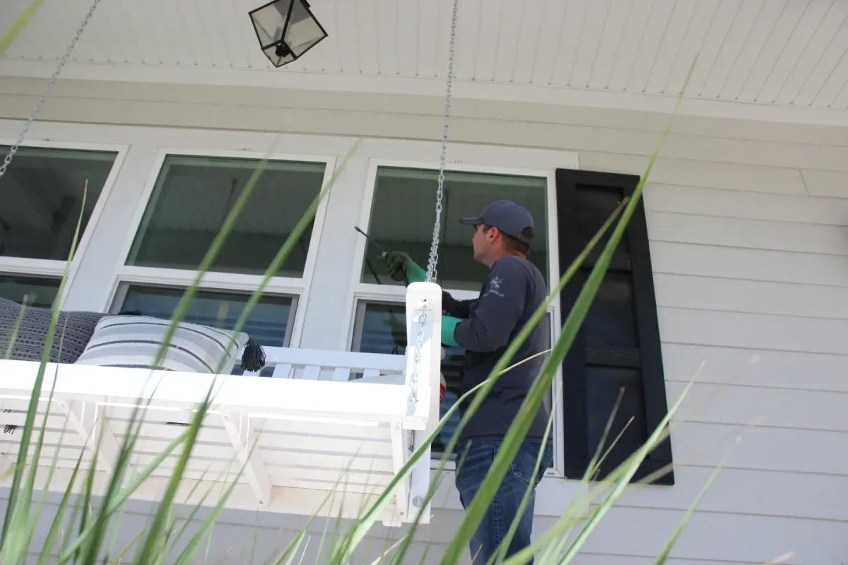 Pest Control in Snyderville