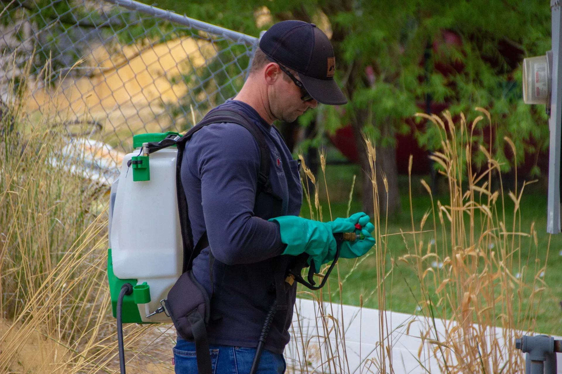 Pest Control in Summit Park