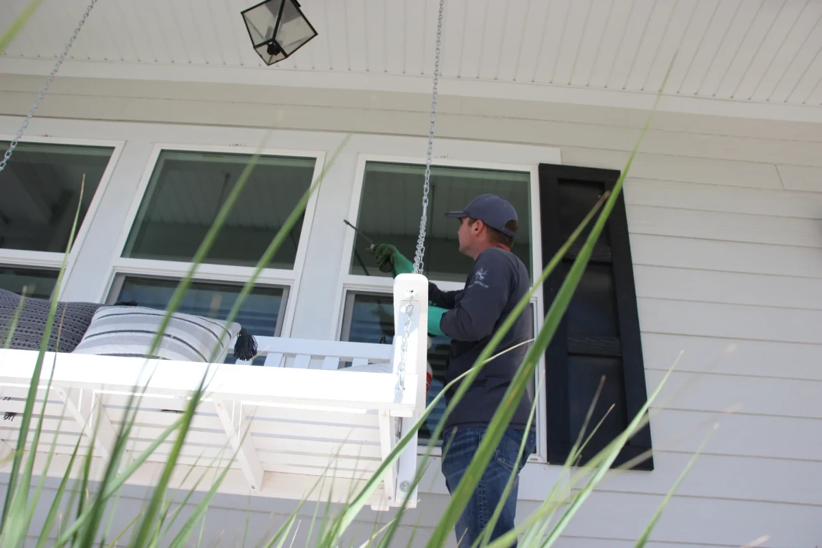 Pest Control in Woods Cross