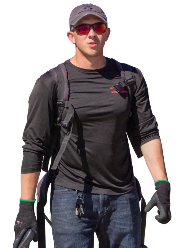 Pest Control near Bountiful