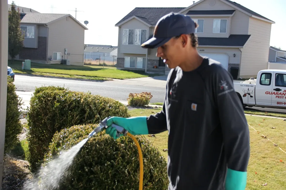Pest Control near Summit Park